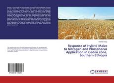 Обложка Response of Hybrid Maize to Nitrogen and Phosphorus Application in Gedeo zone, Southern Ethiopia