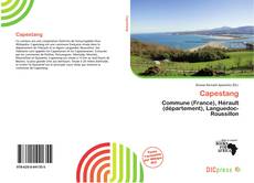 Portada del libro de Capestang