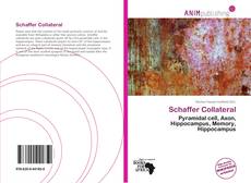 Schaffer Collateral kitap kapağı