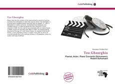 Capa do livro de Teo Gheorghiu 