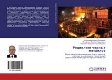 Рециклинг черных металлов kitap kapağı