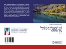 Couverture de Waste management and well water pollution in Parakou city