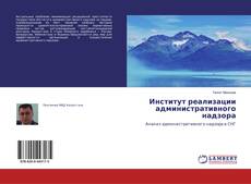 Capa do livro de Институт реализации административного надзора 