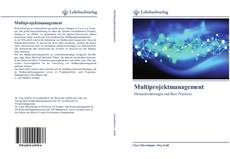 Buchcover von Multiprojektmanagement