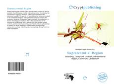 Bookcover of Supratentorial Region