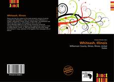 Bookcover of Whiteash, Illinois