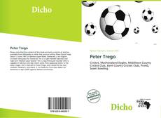 Buchcover von Peter Trego