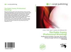Bookcover of The Public Enemy (Professional Wrestling)