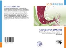 Championnat DTM 2003的封面