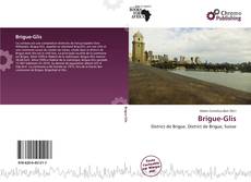 Buchcover von Brigue-Glis
