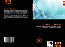 Bookcover of Olaniyi Sobomehin