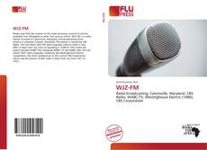 Capa do livro de WJZ-FM 