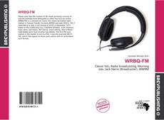 Buchcover von WRBQ-FM