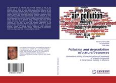 Copertina di Pollution and degradation of natural resources