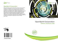 Buchcover von OpenSpirit Corporation