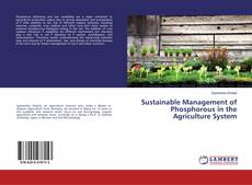 Couverture de Sustainable Management of Phosphorous in the Agriculture System