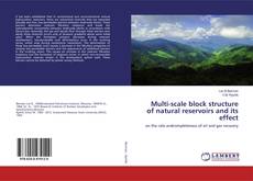 Bookcover of Multi-scale block structure of natural reservoirs and its effect