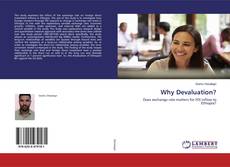Bookcover of Why Devaluation?