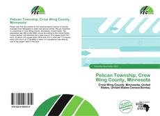 Copertina di Pelican Township, Crow Wing County, Minnesota