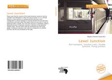 Buchcover von Level Junction