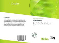 Capa do livro de Cassandro 