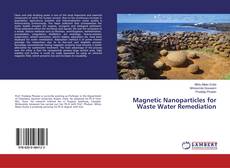 Portada del libro de Magnetic Nanoparticles for Waste Water Remediation
