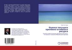 Buchcover von Оценка текущего приливно-отливного ресурса