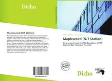 Capa do livro de Maplewood (NJT Station) 