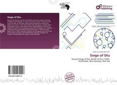 Siege of Diu的封面