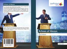 Echoes of Mezon kitap kapağı