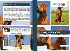 Bookcover of A dog called Colt