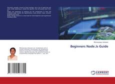 Copertina di Beginners Node.Js Guide
