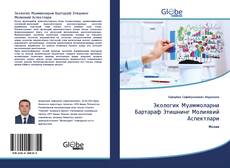 Bookcover of Экологик Муаммоларни Бартараф Этишнинг Молиявий Аспектлари