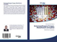 Bookcover of Entomopathogene Fungus, Metarhizium anisopliae