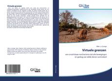 Buchcover von Virtuele grenzen