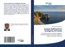 Capa do livro de Jurassic Sediments in Andigama, Sri Lanka 