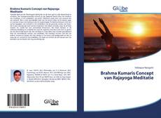Brahma Kumaris Concept van Rajayoga Meditatie kitap kapağı