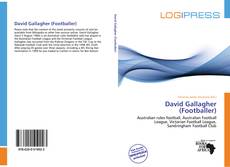 David Gallagher (Footballer) kitap kapağı