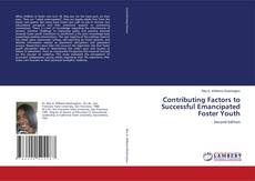 Buchcover von Contributing Factors to Successful Emancipated Foster Youth