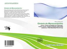 Portada del libro de Ginásio do Maracanãzinho