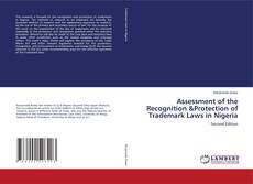 Assessment of the Recognition &Protection of Trademark Laws in Nigeria kitap kapağı