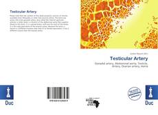 Bookcover of Testicular Artery
