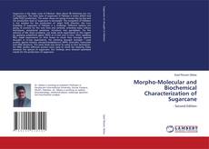 Buchcover von Morpho-Molecular and Biochemical Characterization of Sugarcane
