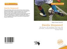 Buchcover von Slaviša Stojanovič