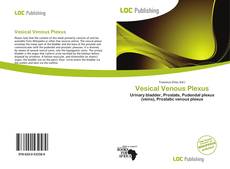 Bookcover of Vesical Venous Plexus