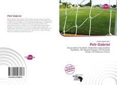 Portada del libro de Petr Gabriel