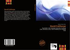 Bookcover of David Calthorpe