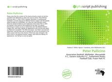 Peter Pullicino kitap kapağı