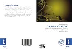 Copertina di Thoracic Vertebrae