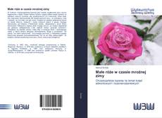 Portada del libro de Małe róże w czasie mroźnej zimy